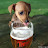 @Nouruth's avatar