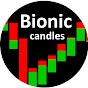 Bionics Forex Algorithmen logo