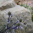 @AG-le3ee's avatar