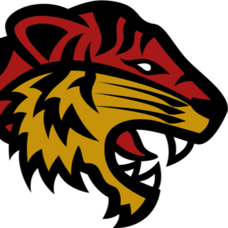 TIGER SPORTS MECHANICS
