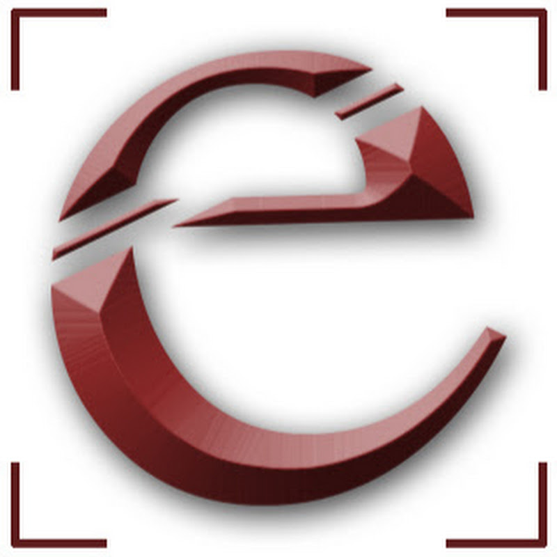 Elementz Engineers Guild