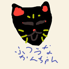 普通なかんちゃん