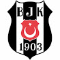 Beşiktaş Delisi