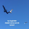 Автор