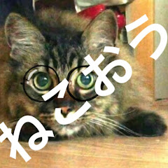 NEKO-OH