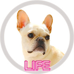 ZARAME LIFEアイコン画像