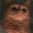 @gianflores7903's avatar