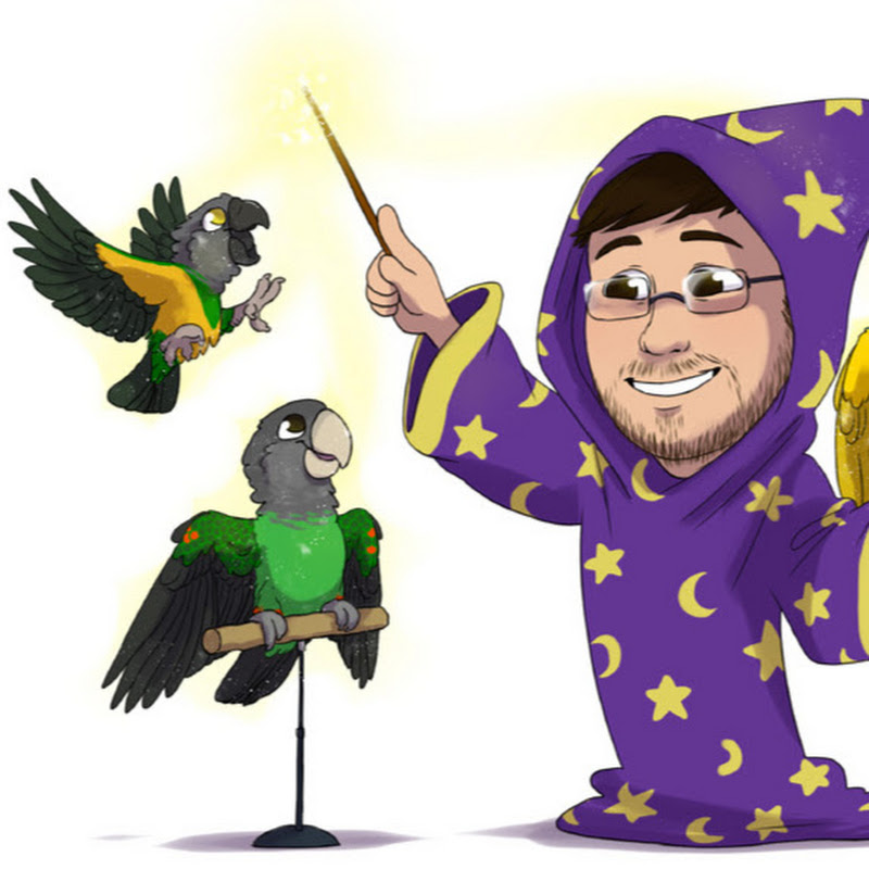 Parrot Wizard