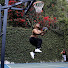 ws8GkFoWcpQ-channel-avatar-Park Beats