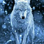 Cold Wolf