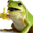 @account-gp4sn
