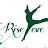 The Rise Eve Dance Studio