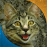 BgzCuiJX3d8-channel-avatar-SmuseRay