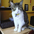 AXPr4EmDsn4-channel-avatar-Yarslow