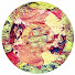 jUkFX9RZq1I-channel-avatar-cielly