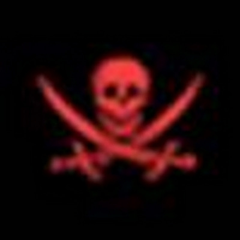 swashbucklerfly