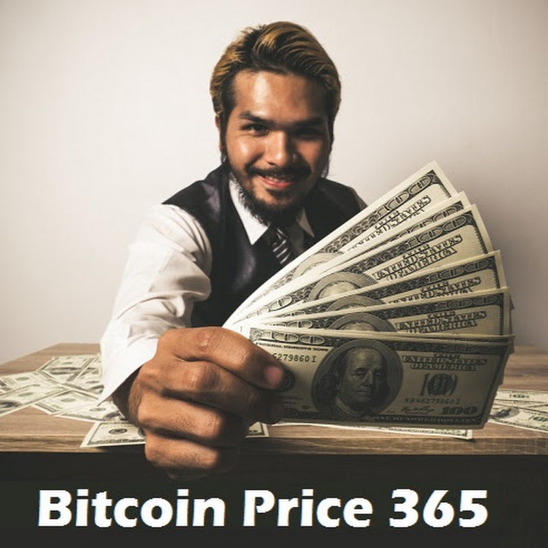 Bitcoin Price 365 (BTC to USD)