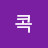 @콕-v4p