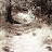 avatar of @sm-qk5hi