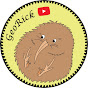 GeoRick's Travels logo