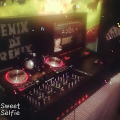 FeNiX 100%in The Mix