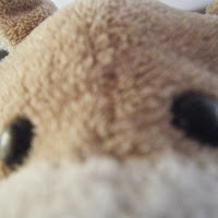 bpablo1829 profile image
