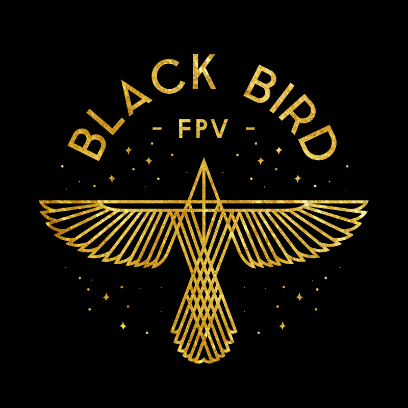 Black Bird FPV icon