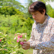 杉野宣雄