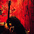 @julioagnosia's avatar