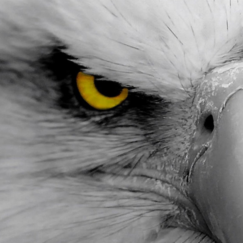 Beyond the Sight