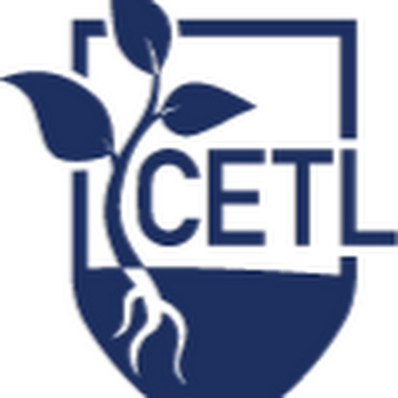 Center For Excellence In Teaching And Learning