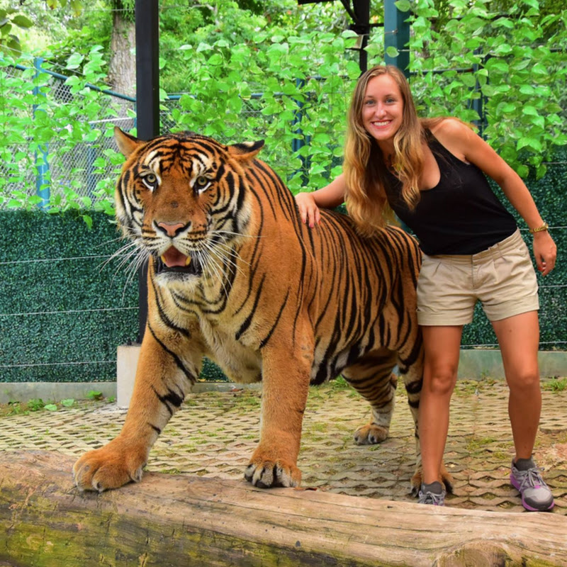 Tamera's Travel