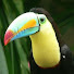 Channel Image