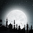 7-1f9MxnnOU-channel-avatar-فقه المرأة المسلمه