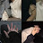 @asmaamostafa6337