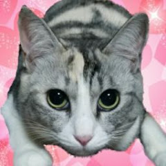 ひなこたちゅーぶ