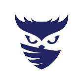Raid Owl
