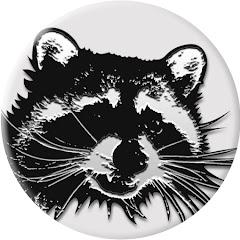 Логотип каналу Raccoon TV