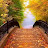 @natalimakdiash7706 Avatar