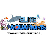 Elite Aquariums