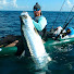 0YuJxyeTwlg-channel-avatar-Ryan Wood - RWood Outdoors
