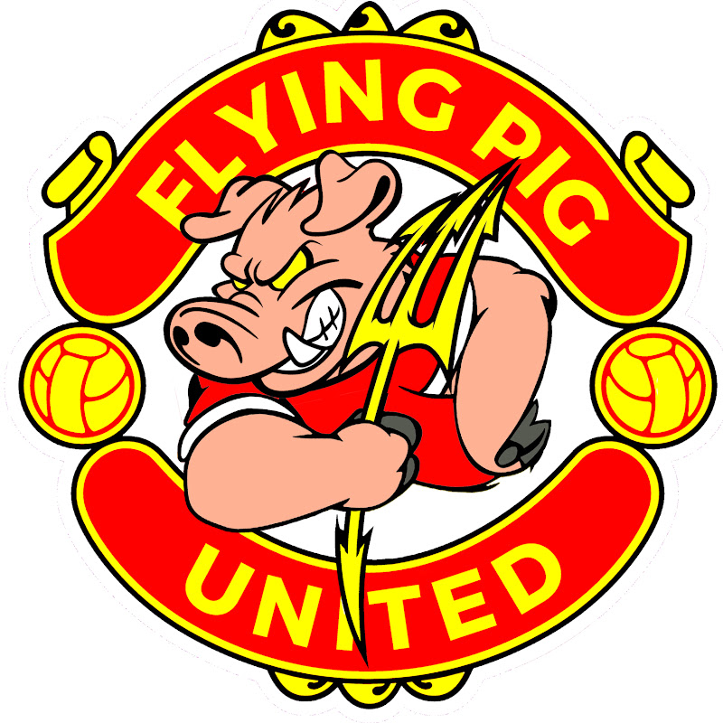 Flying Pig United icon