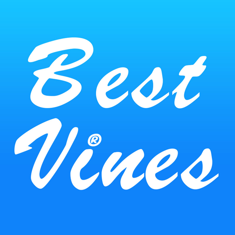 Best Vines icon
