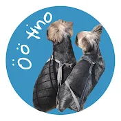 Ö tino