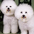 @702bosslady's avatar