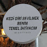 Автор