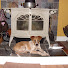 fuRmTneBfBw-channel-avatar-Haparound thehouse