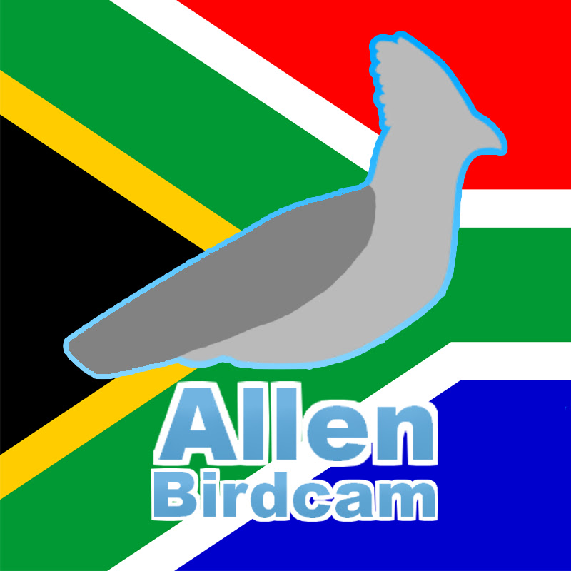 Allen Birdcam logo