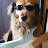 @bgibson70's avatar