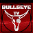 @bullseyetv5325